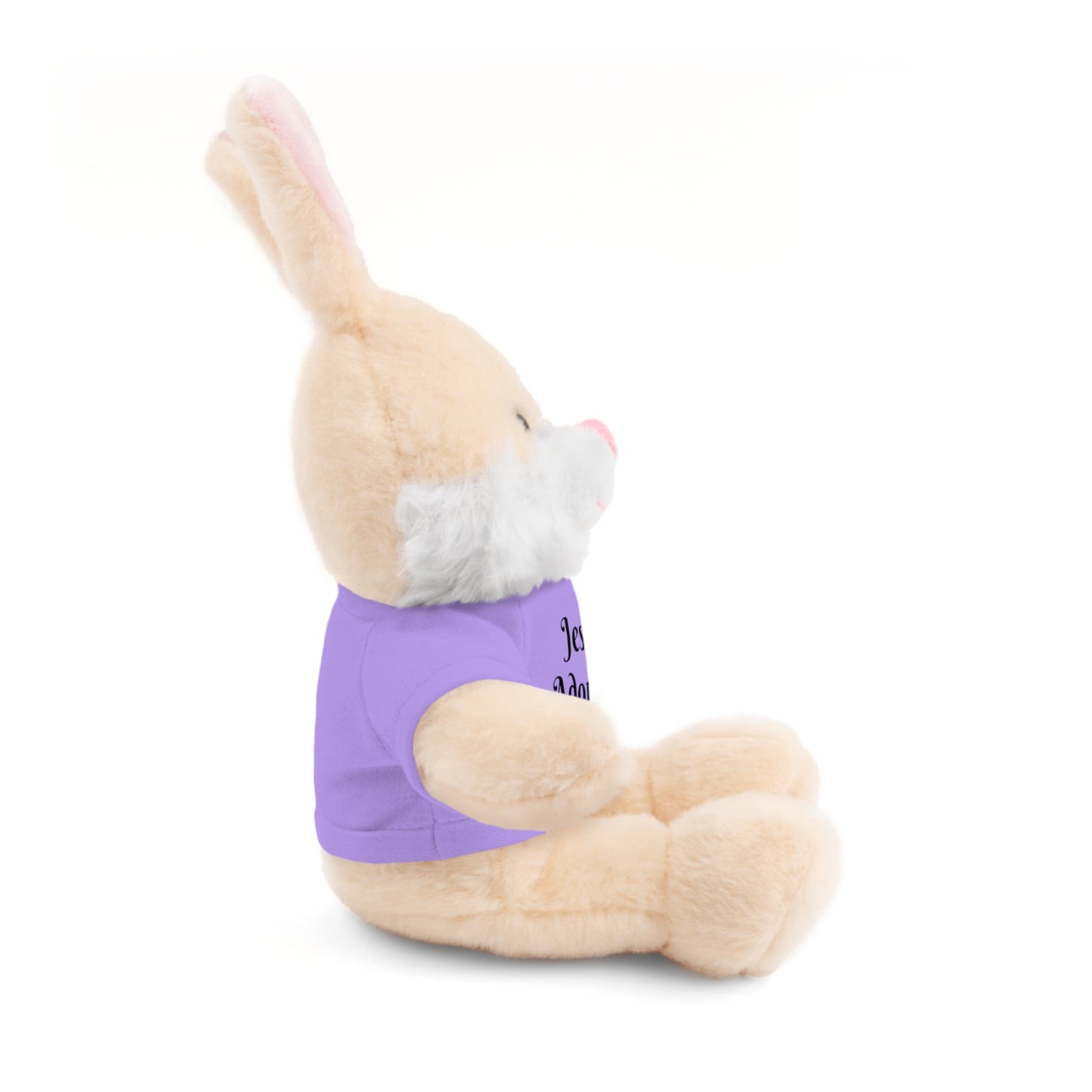 Stuffed Bunny with T-shirt