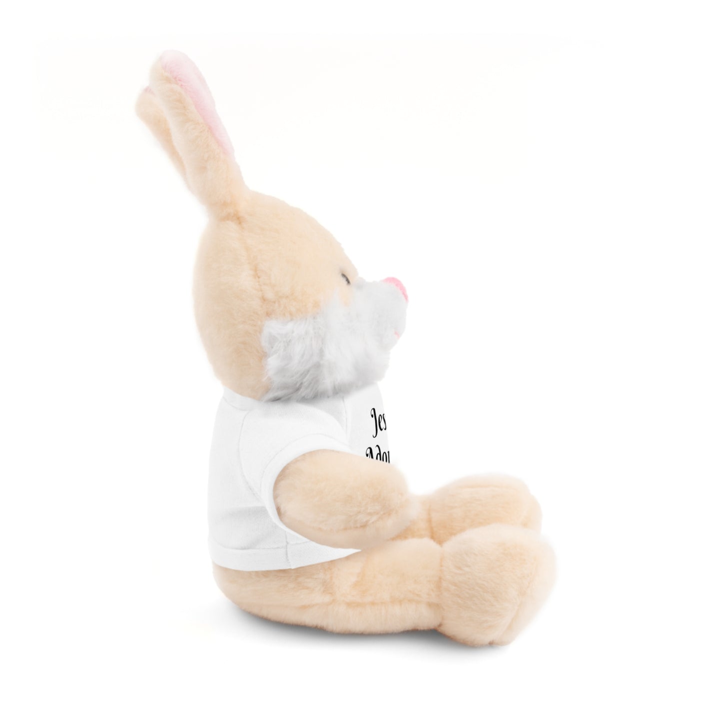Stuffed Bear with T-shirt