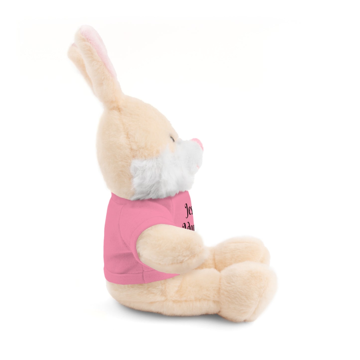 Stuffed Bunny with T-shirt